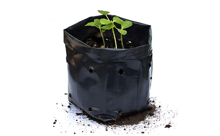 Black LDPE Planting Bag
