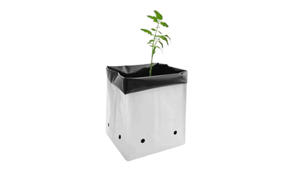 Rectangular LDPE Grow Bags